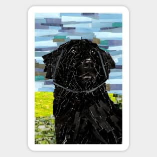 Newfoundland Dog Collage Sticker